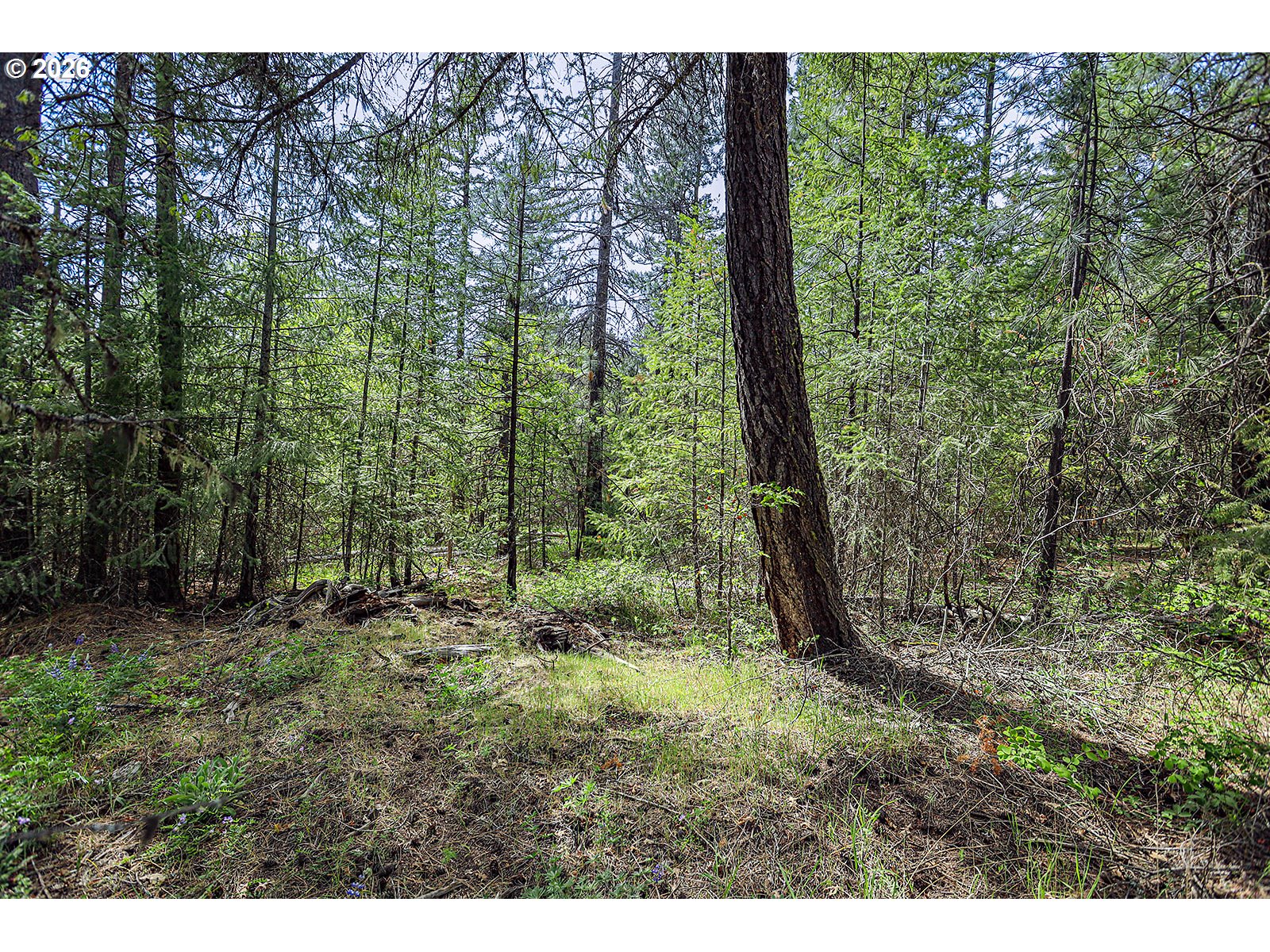 NKA Forest Glen DR #38