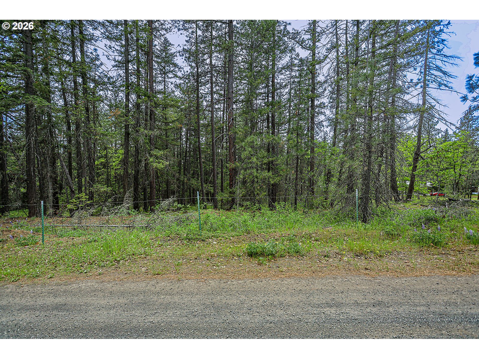 NKA Forest Glen DR #38