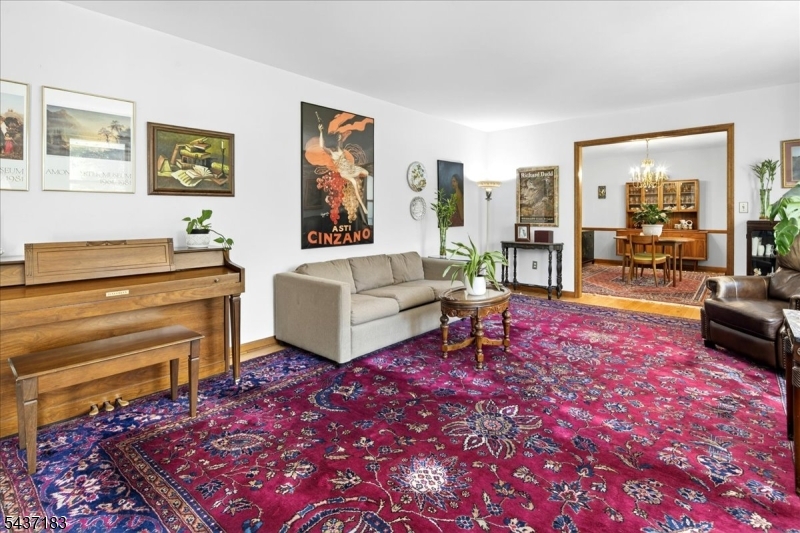 54 Platz Drive