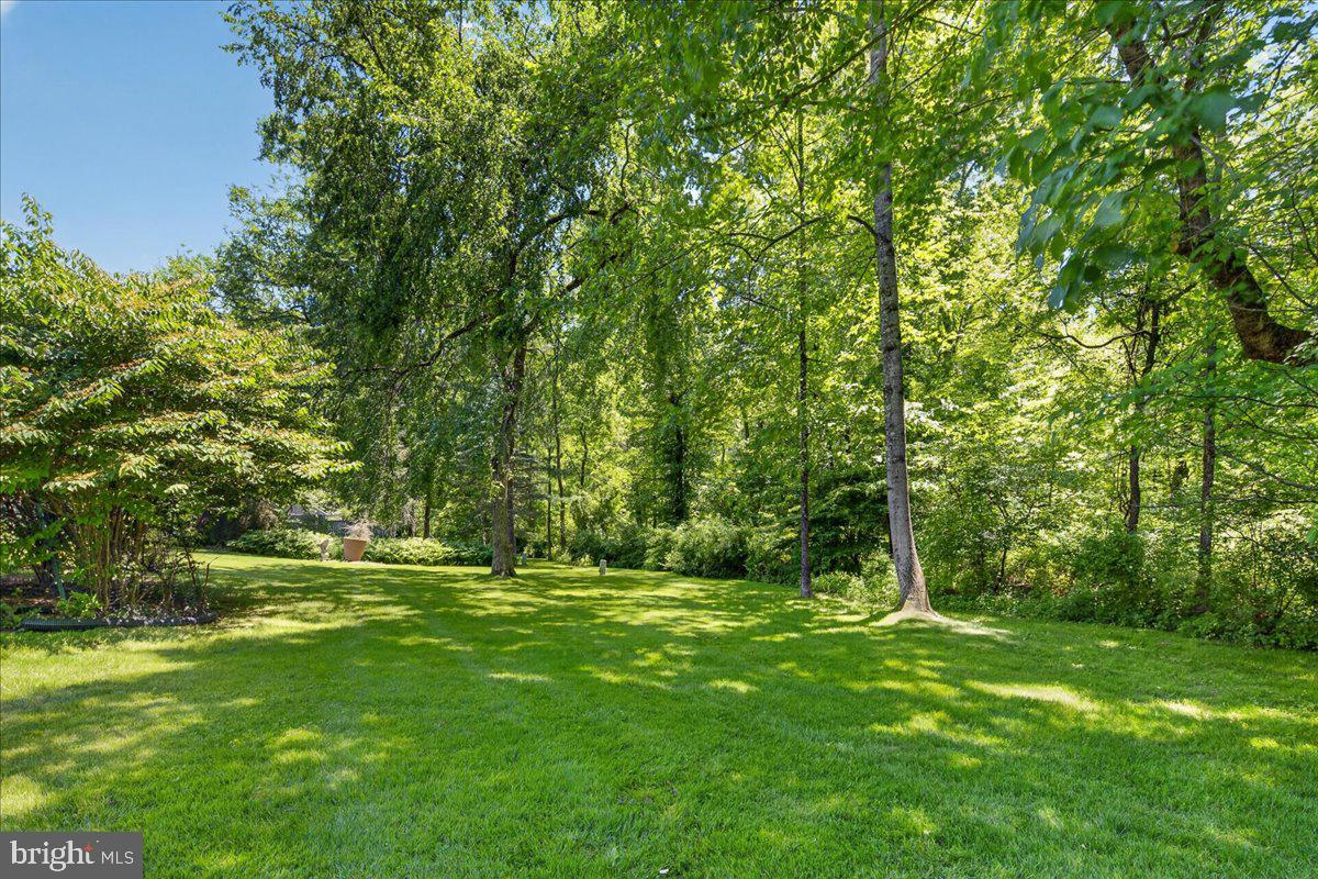 29 OLD ORCHARD LANE
