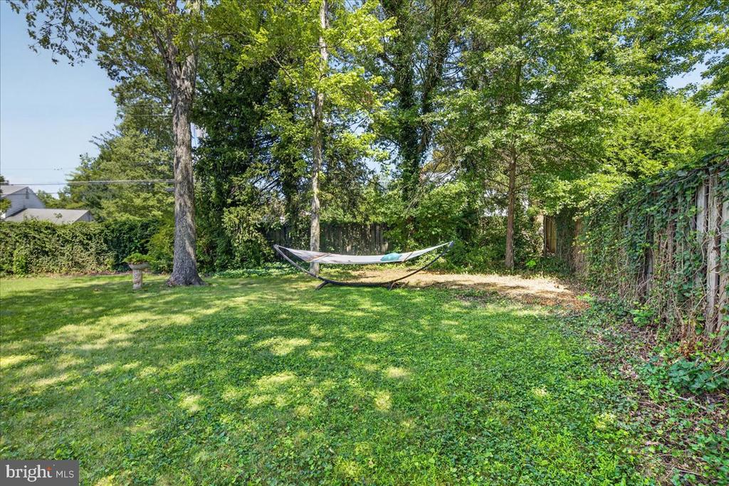 Backyard lawn with a hammock beneath mature trees and a vine-covered fence.