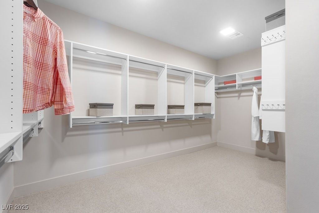 1237 Starview Peak Court