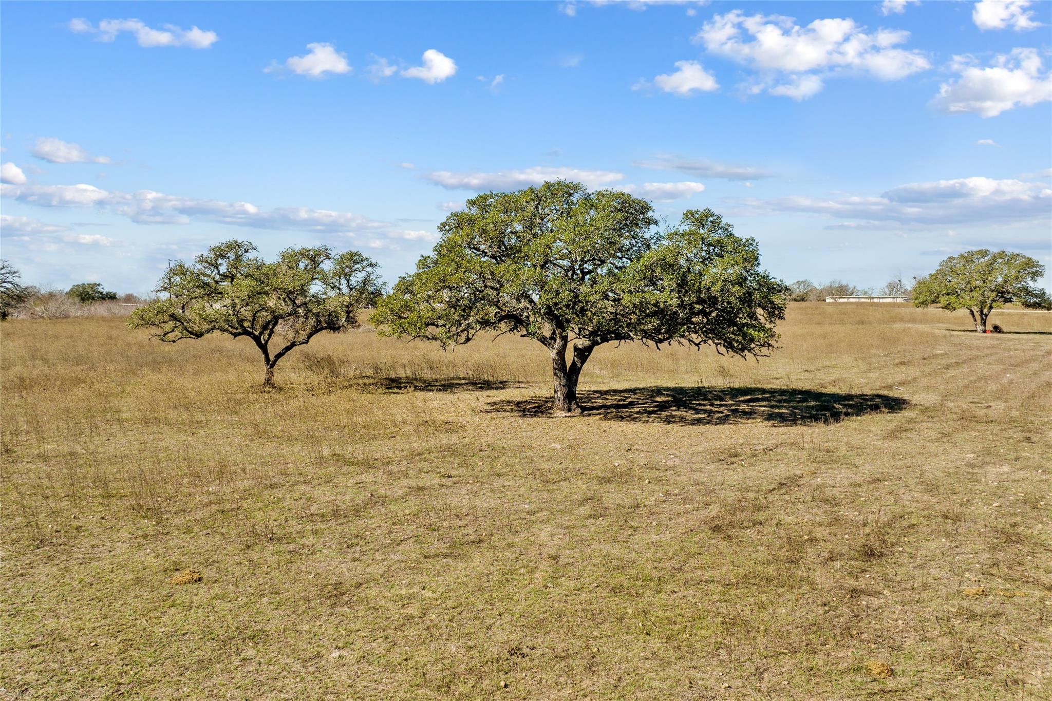 2494 County Road 118