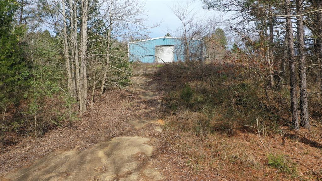 TBD Lot 5 County Road 2240