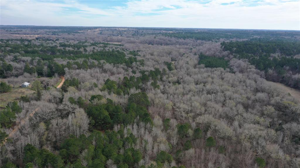 TBD Lot 5 County Road 2240