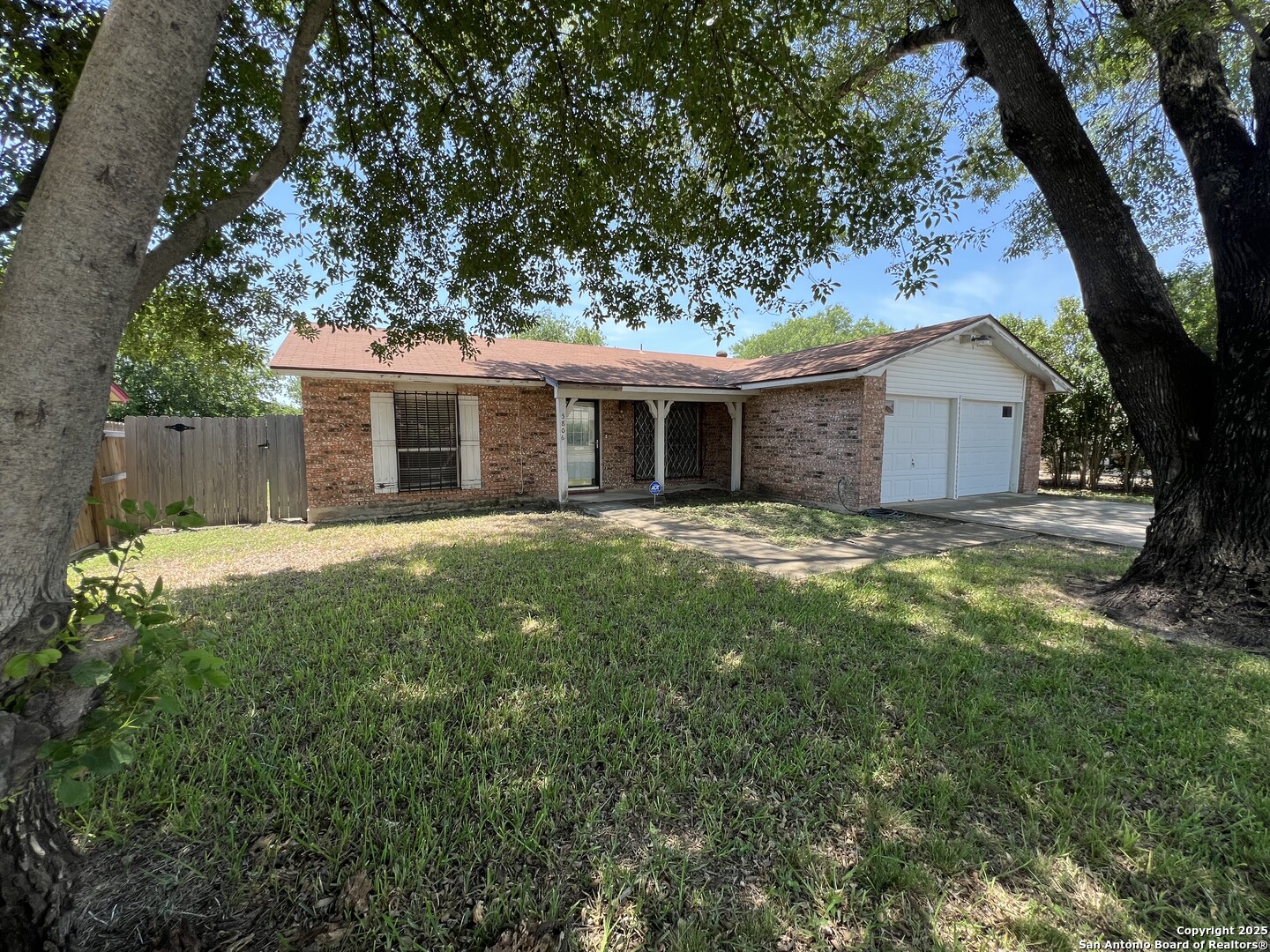 5806 Tree View