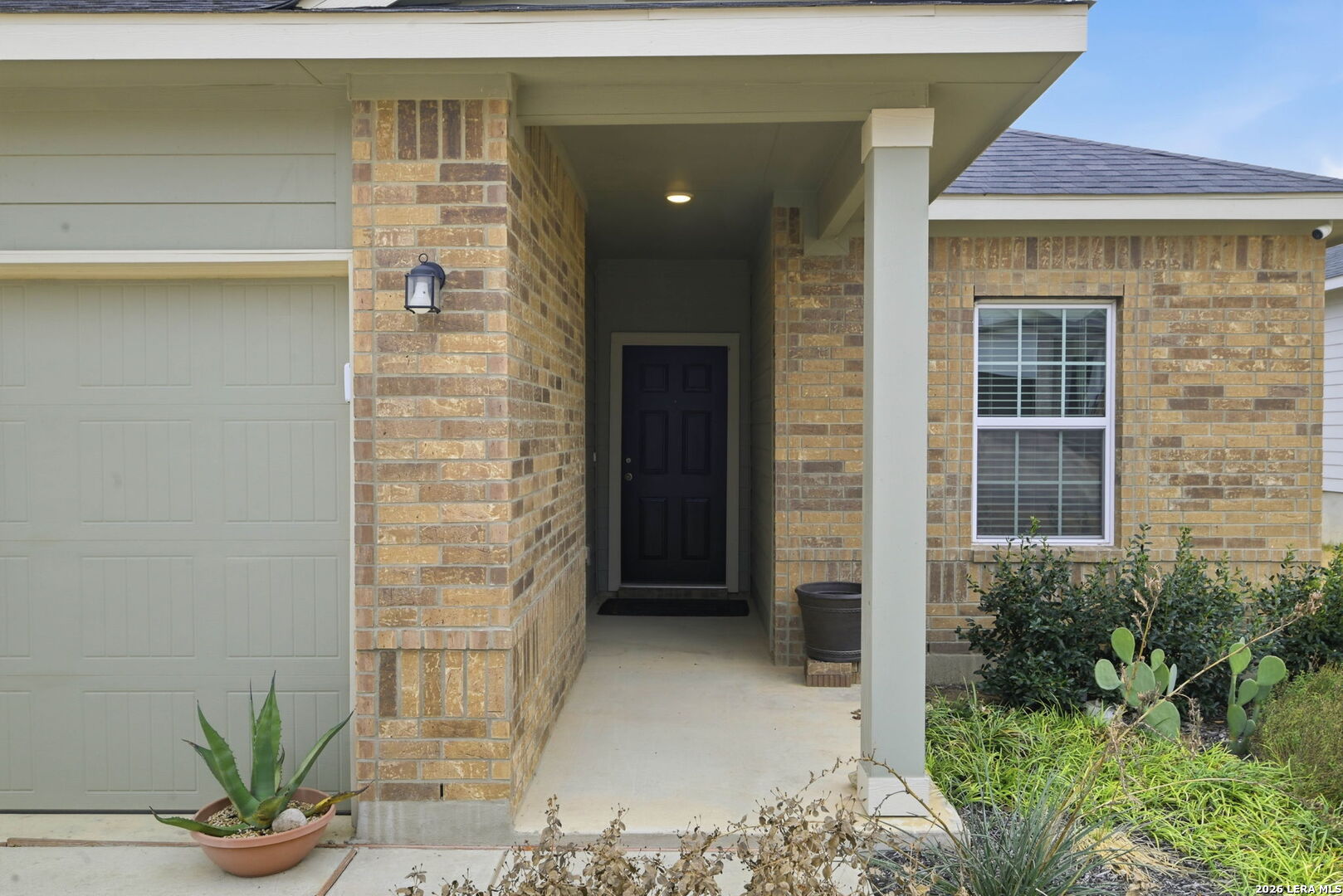 218 Antelope