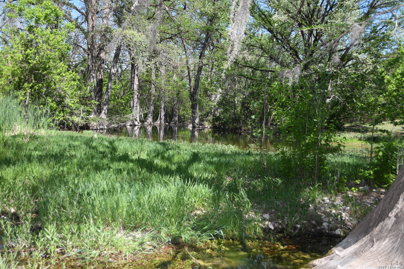 1361 Hidden Valley