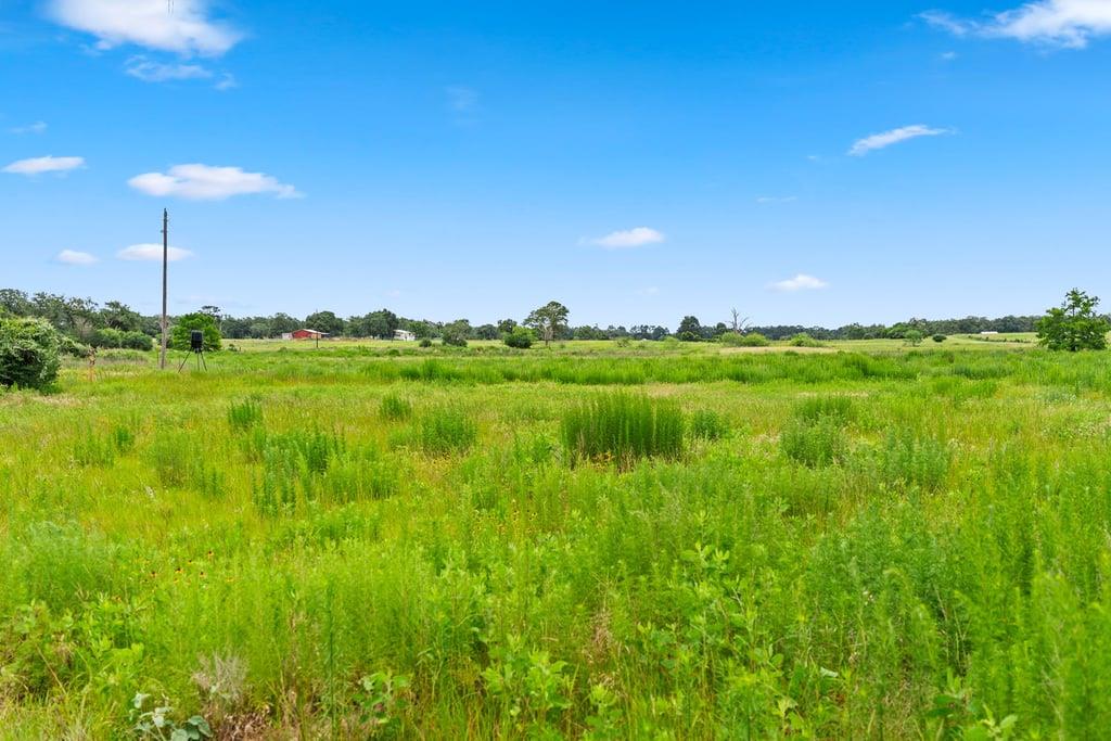 1910 E County Road 415