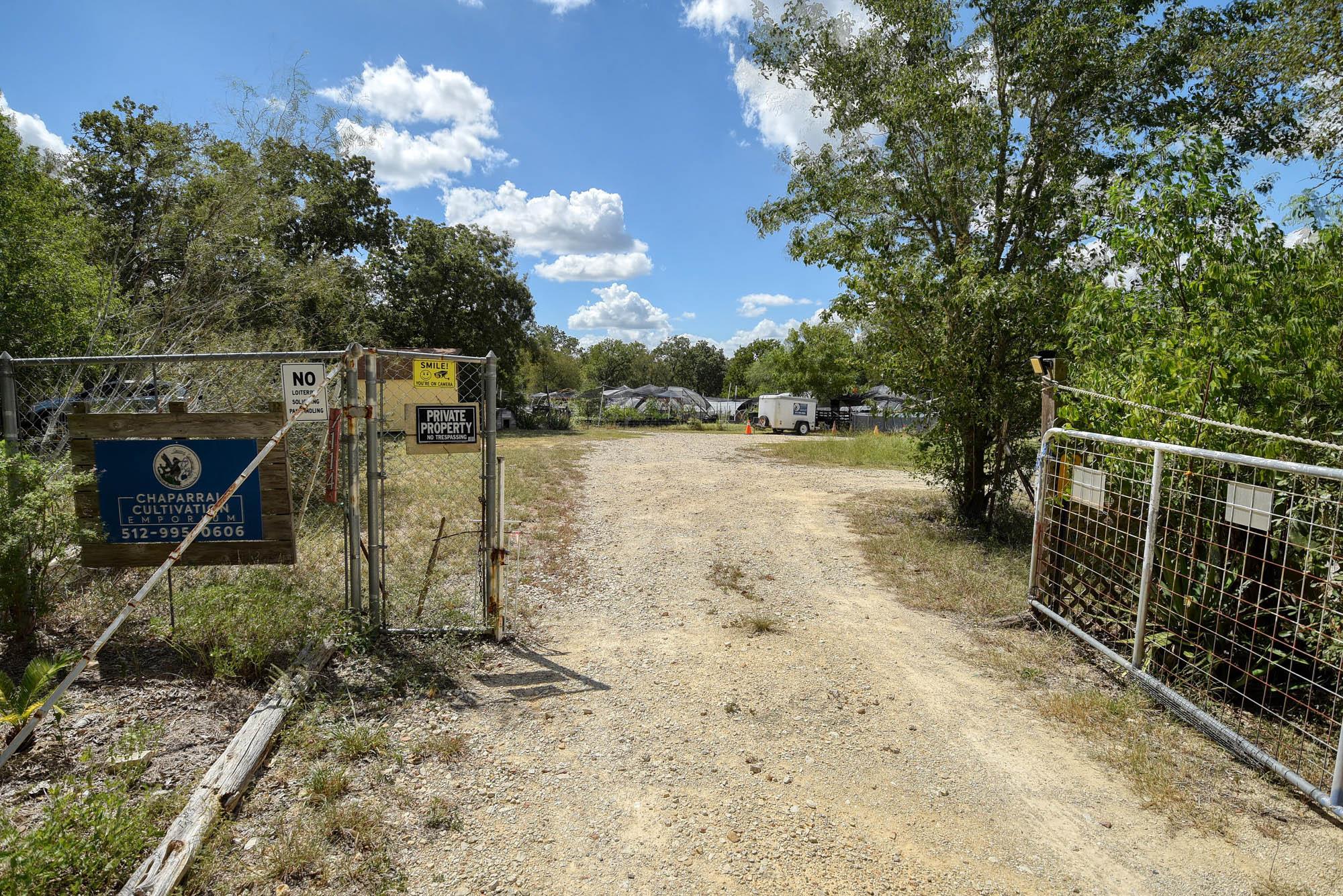 1114 Spotted Horse TRL