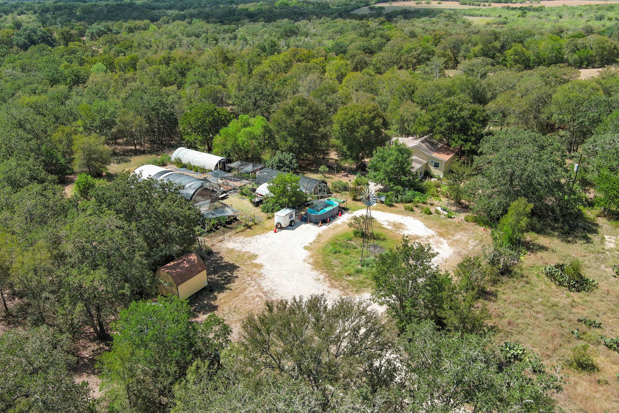 1114 Spotted Horse TRL