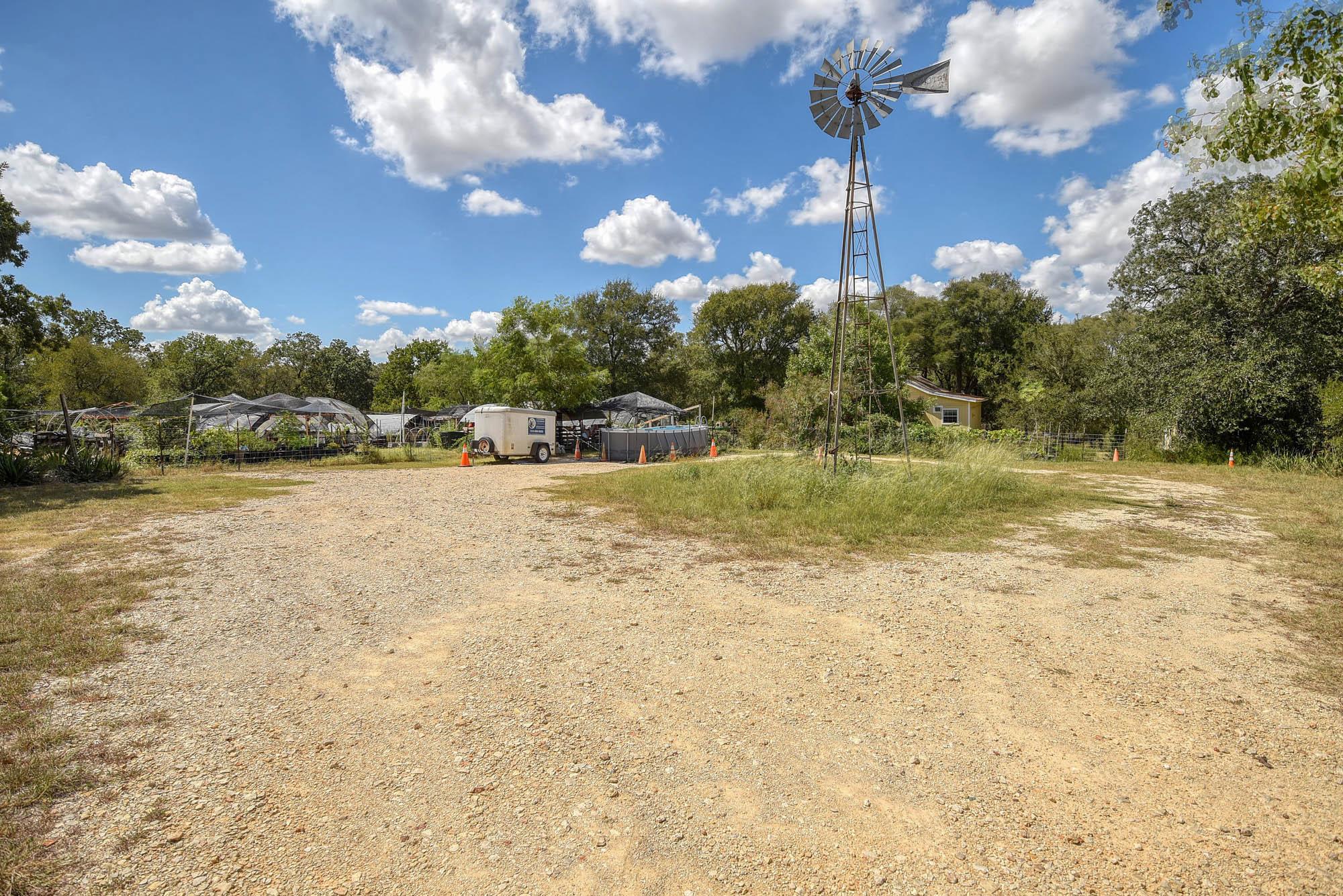 1114 Spotted Horse TRL