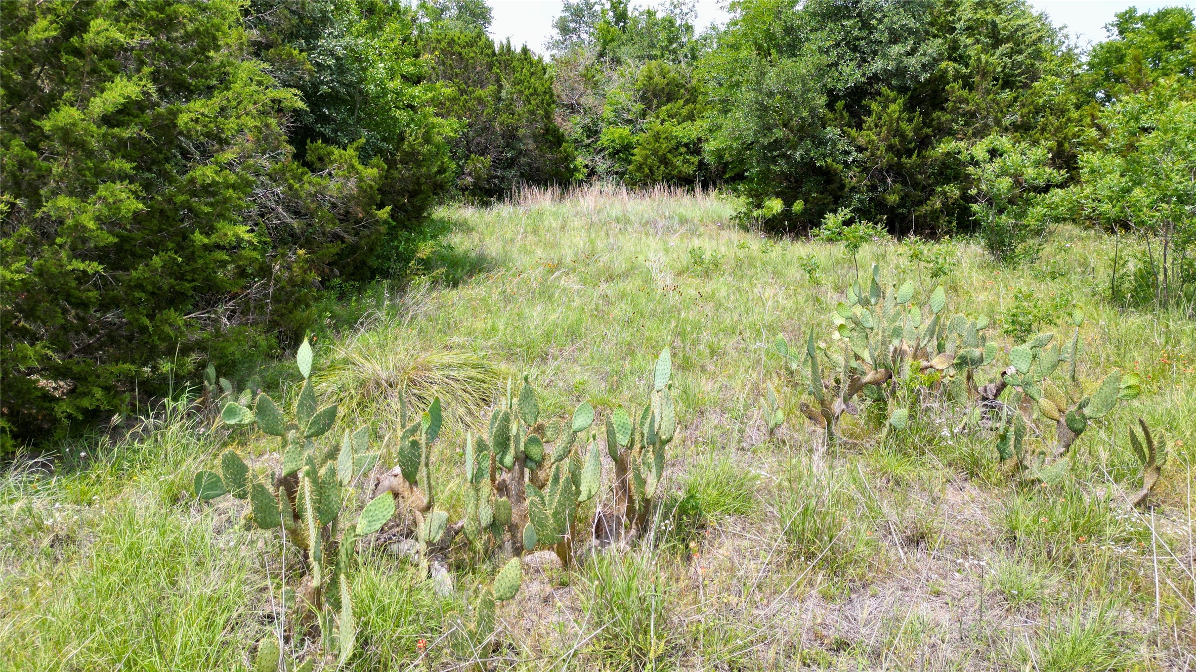 464 Brookhaven Drive