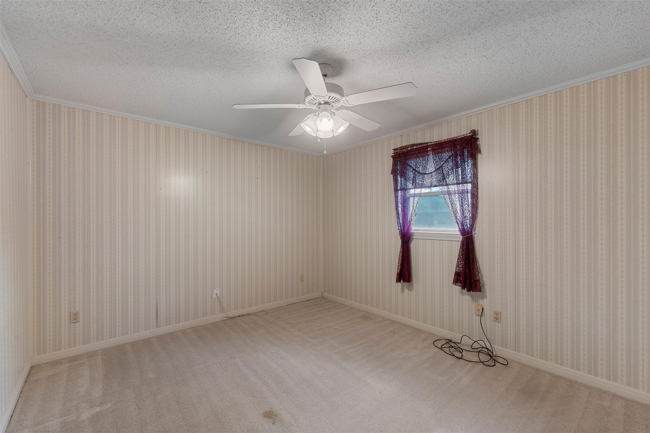 300 Ivy Lane