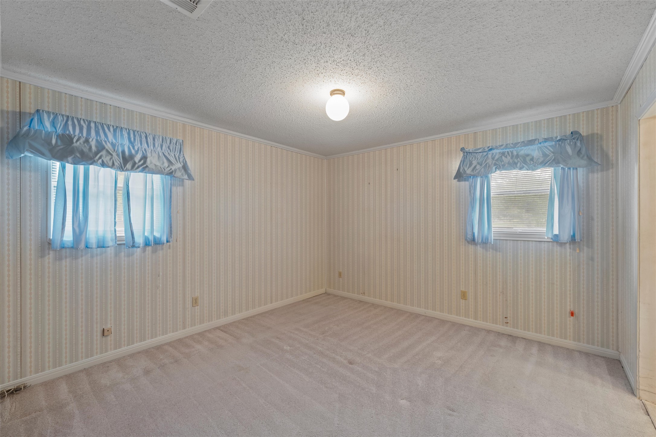 300 Ivy Lane
