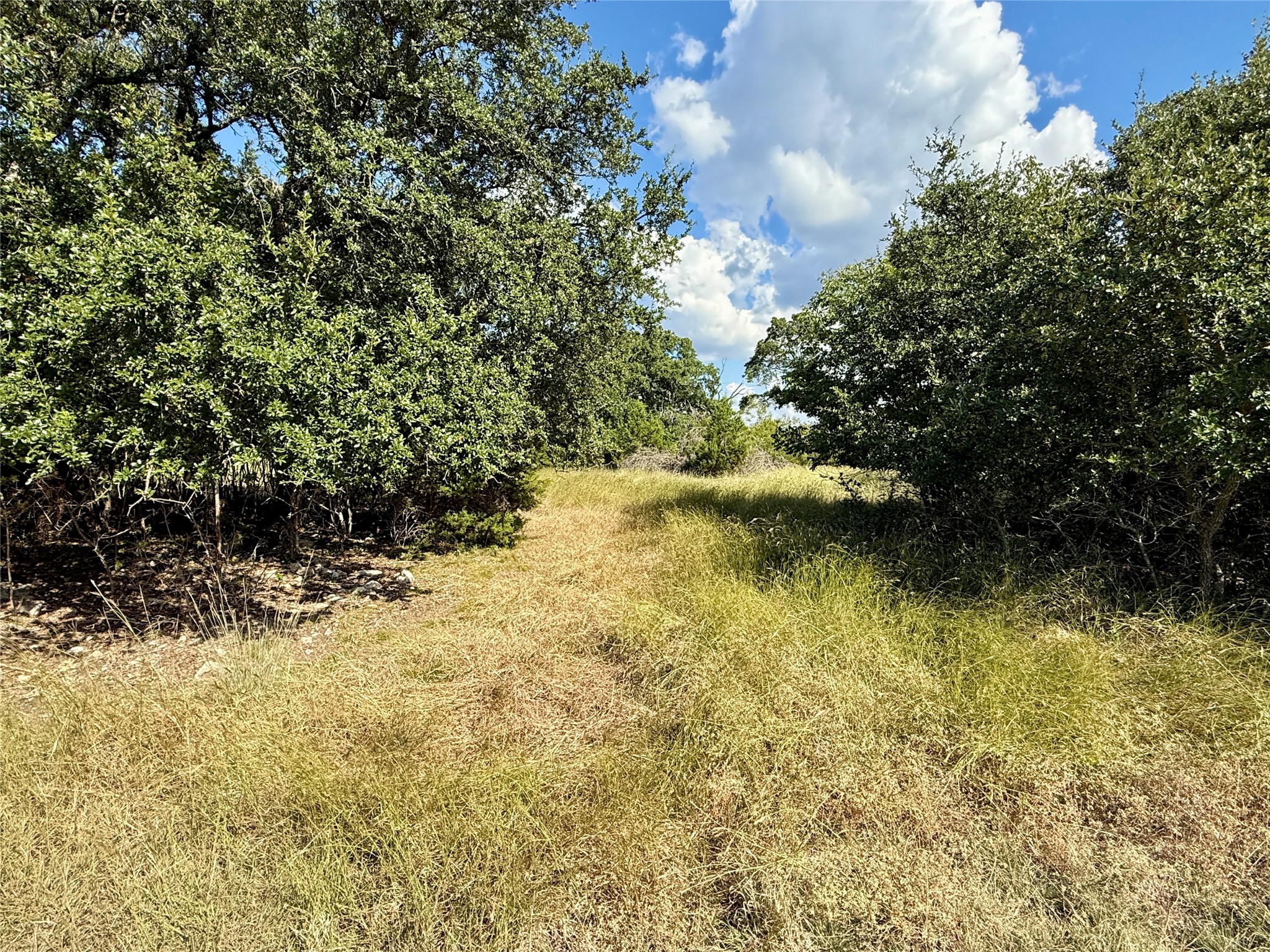 tbd Cedar ridge