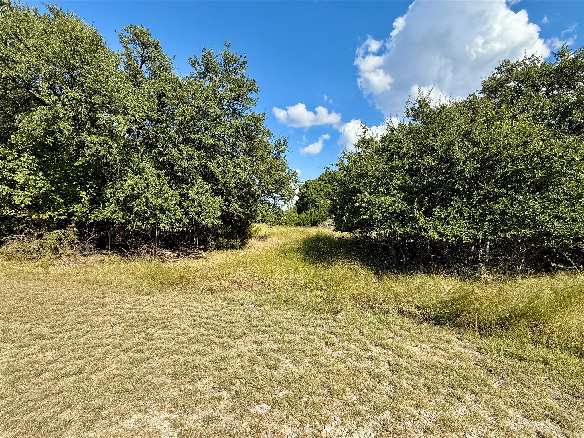 tbd Cedar ridge