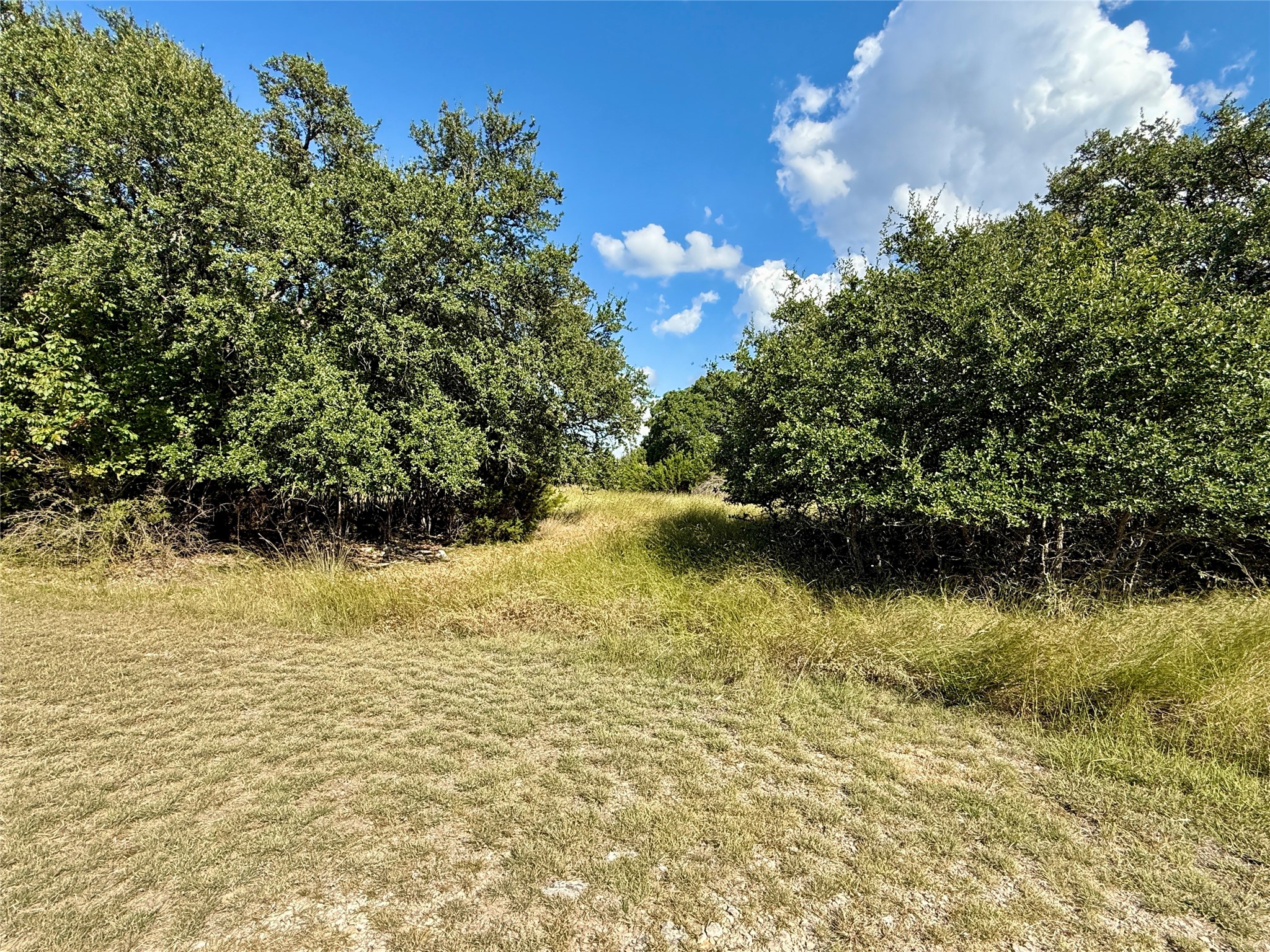 tbd Cedar ridge