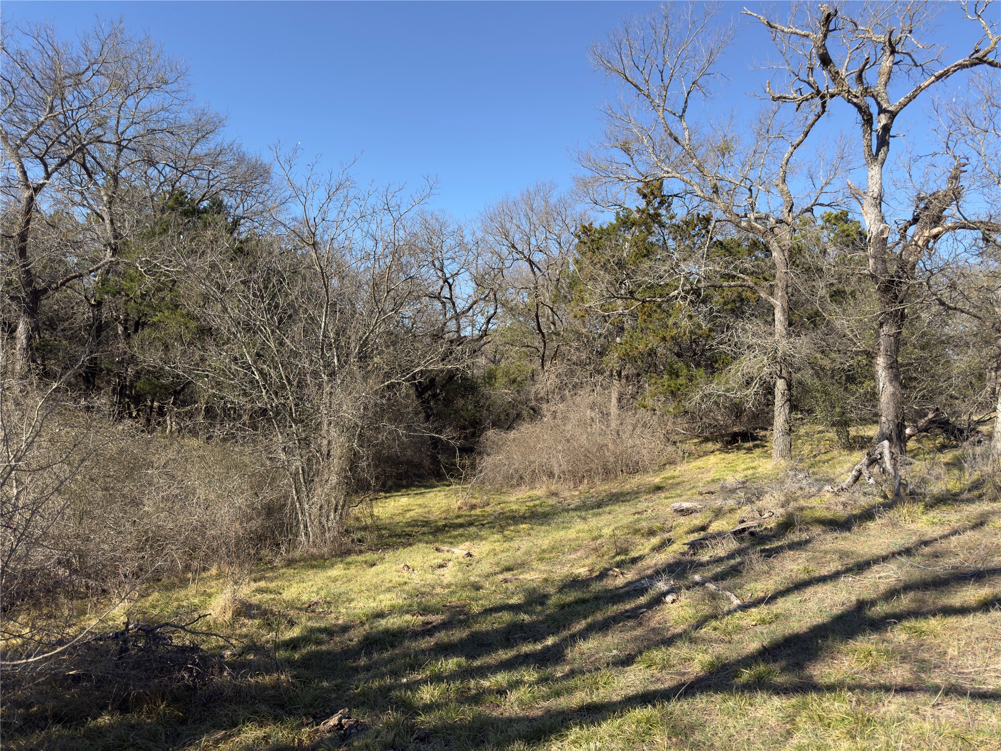 3697 N Rock Creek Loop