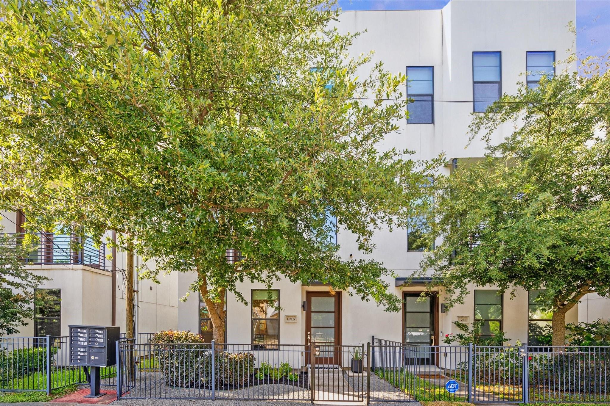 1704 Alamo Street # A