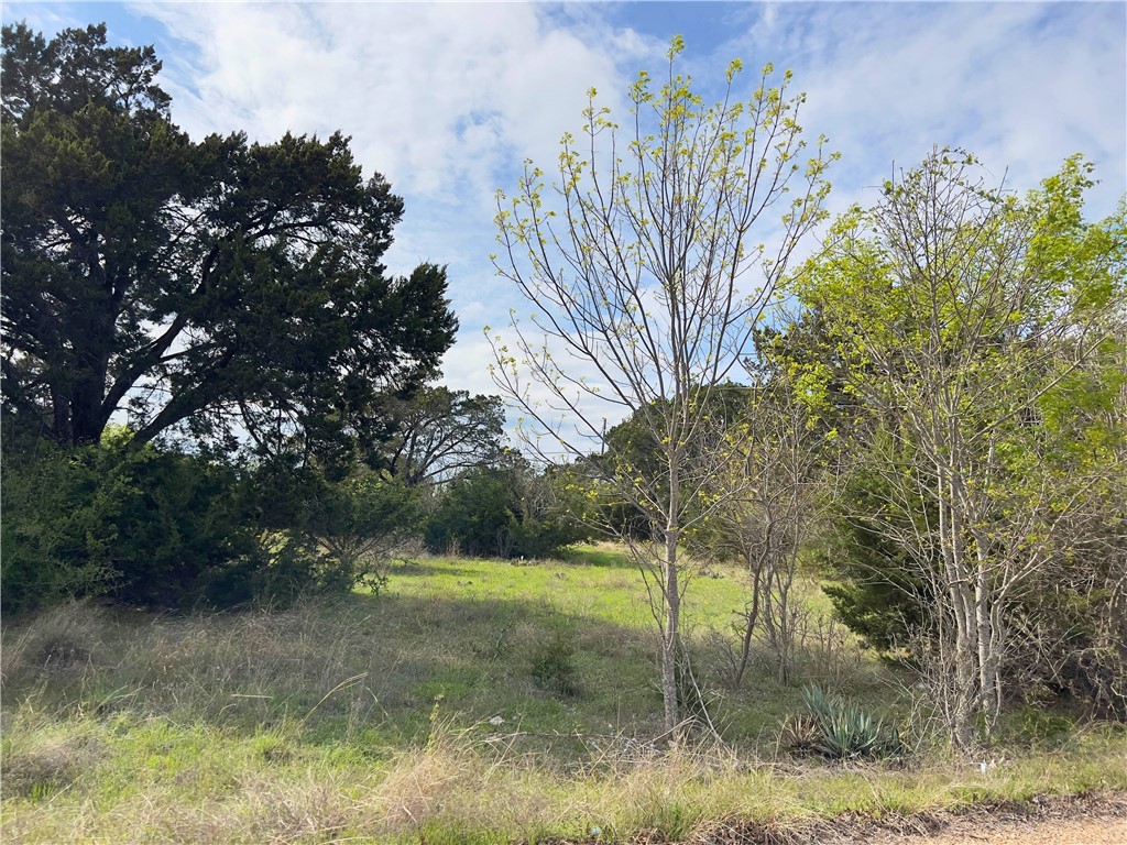 0 Cedar Ridge Road