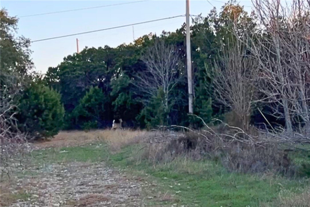0 Cedar Ridge Road