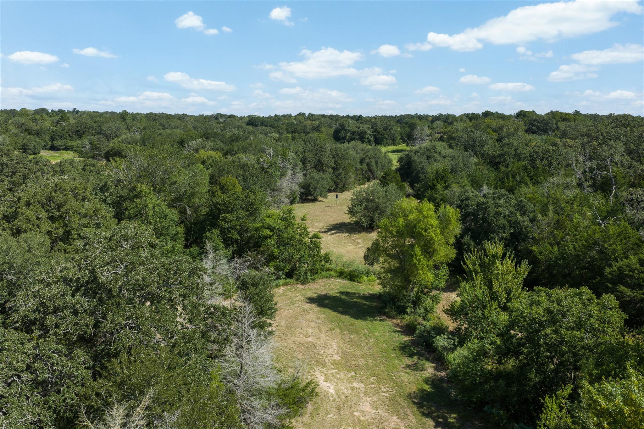 3555 County Road 430