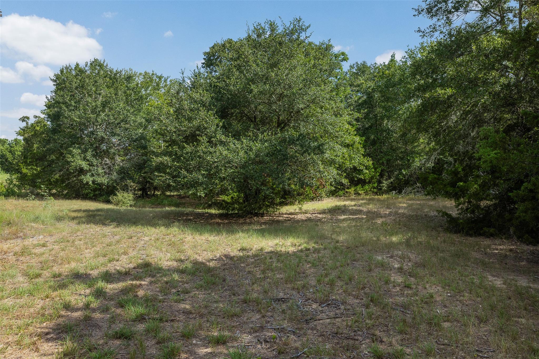 3555 County Road 430