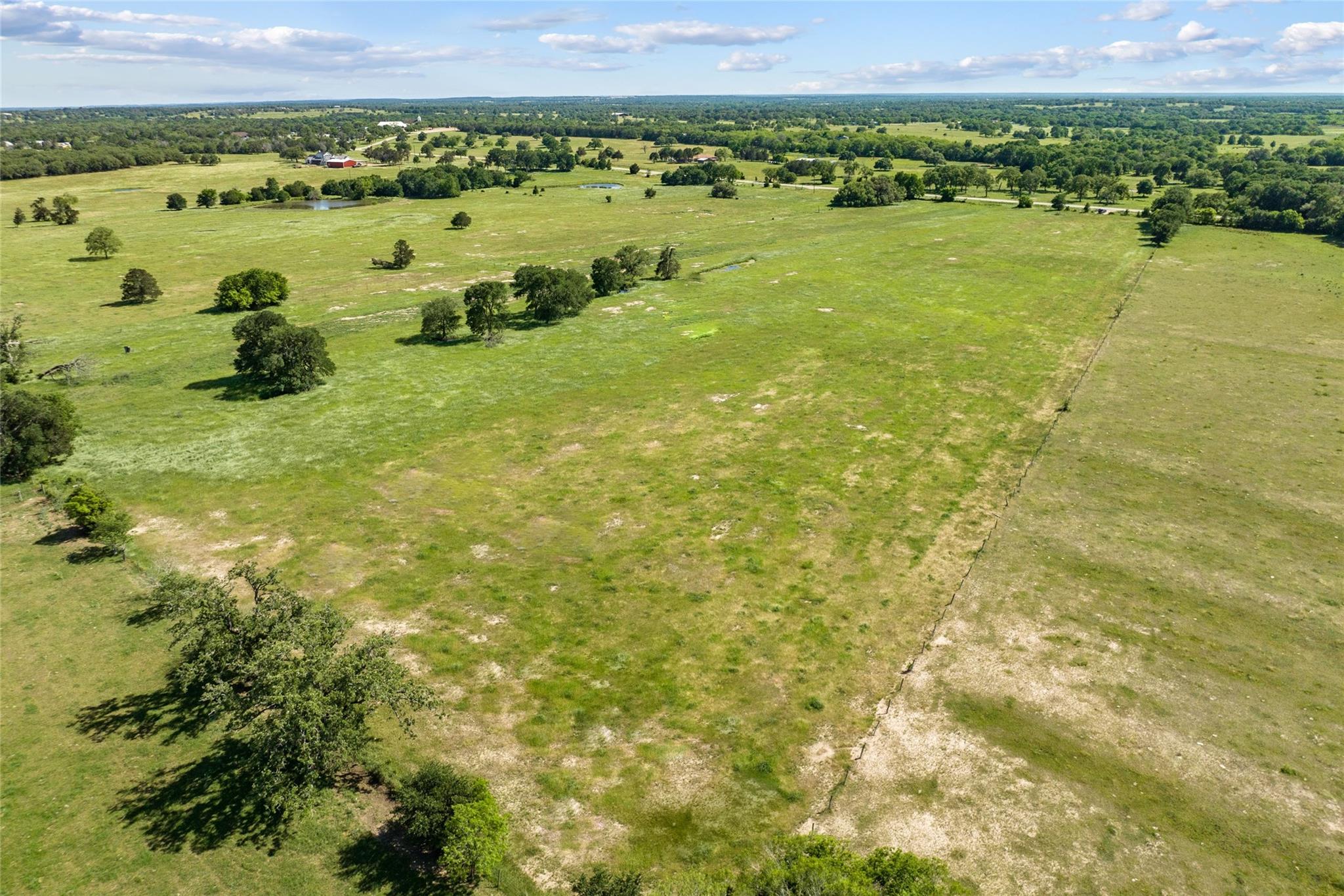 TBD (Tract 1) FM 2239