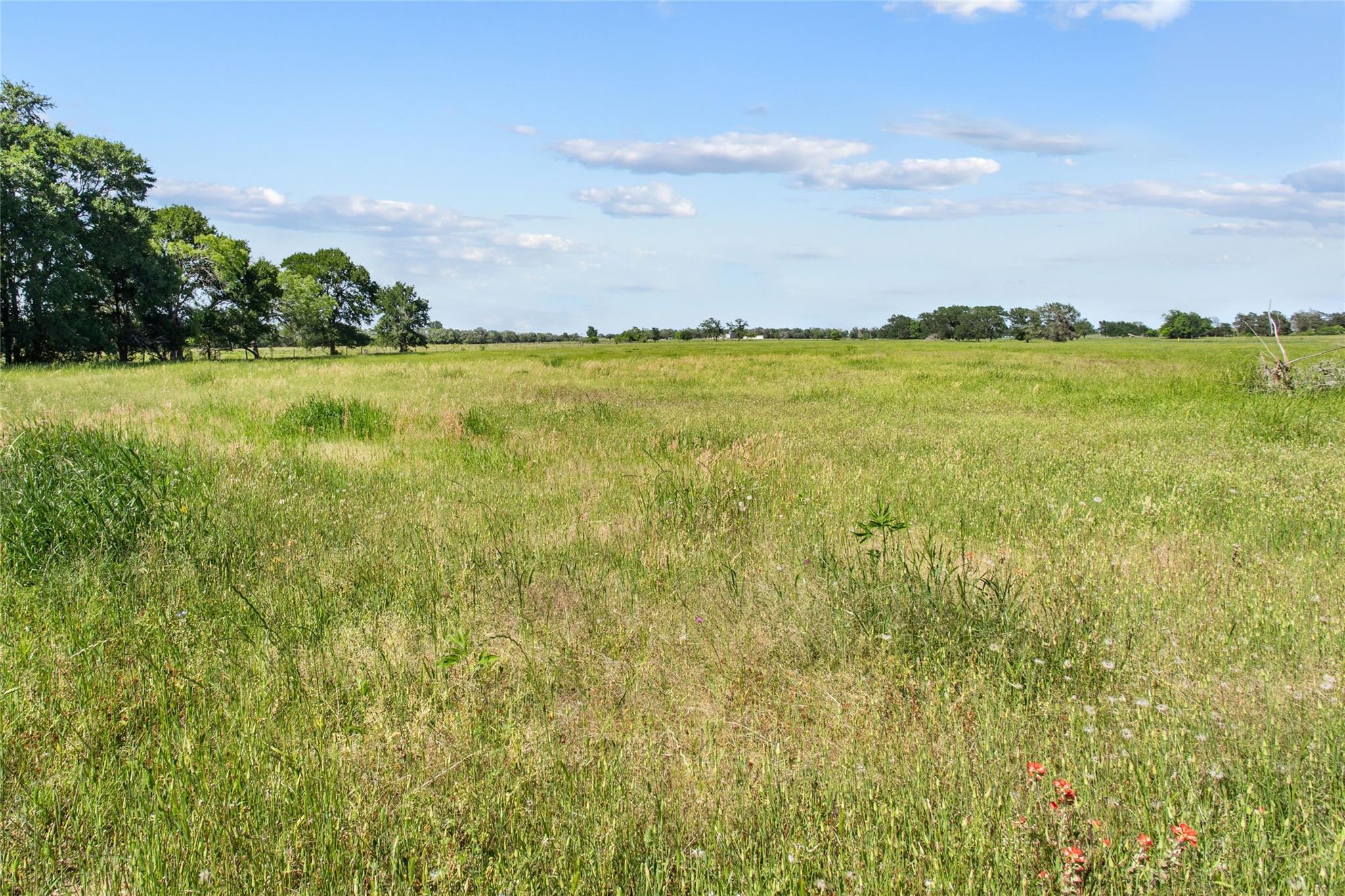 TBD (Tract 1) FM 2239