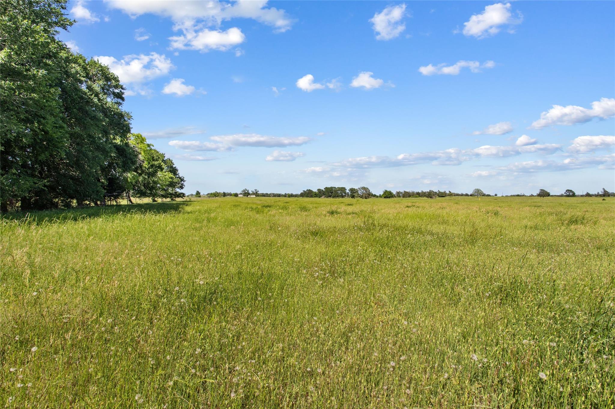 TBD (Tract 1) FM 2239