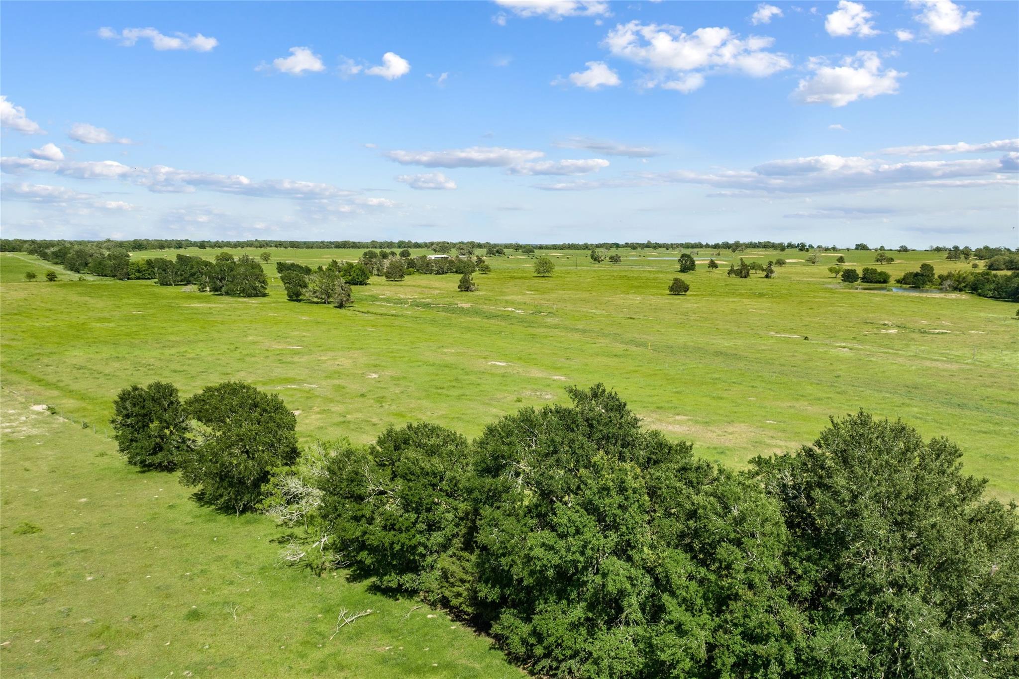 TBD (Tract 1) FM 2239