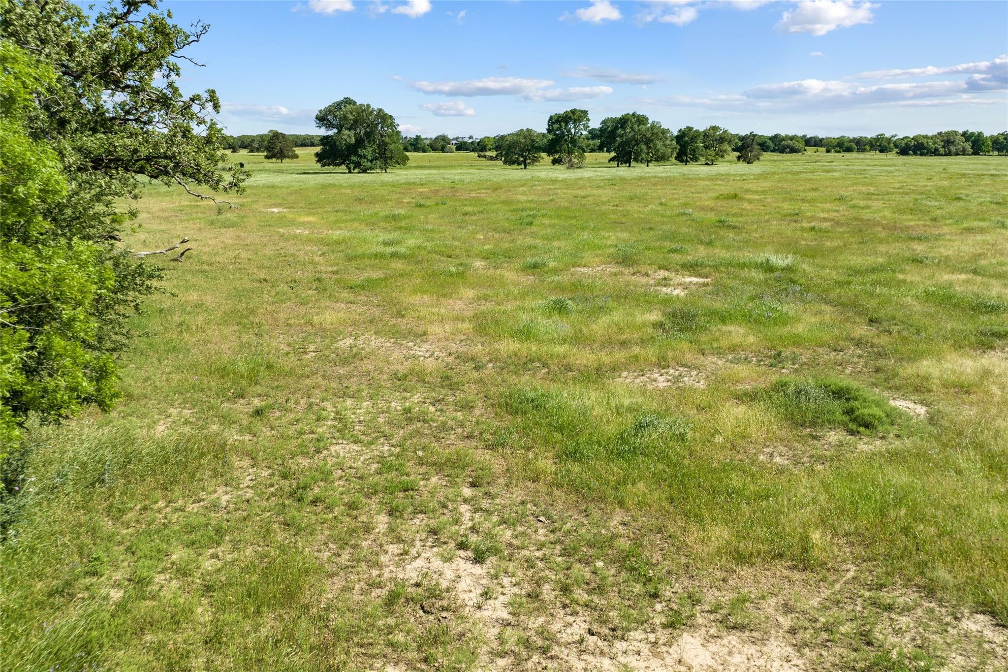 TBD (Tract 1) FM 2239