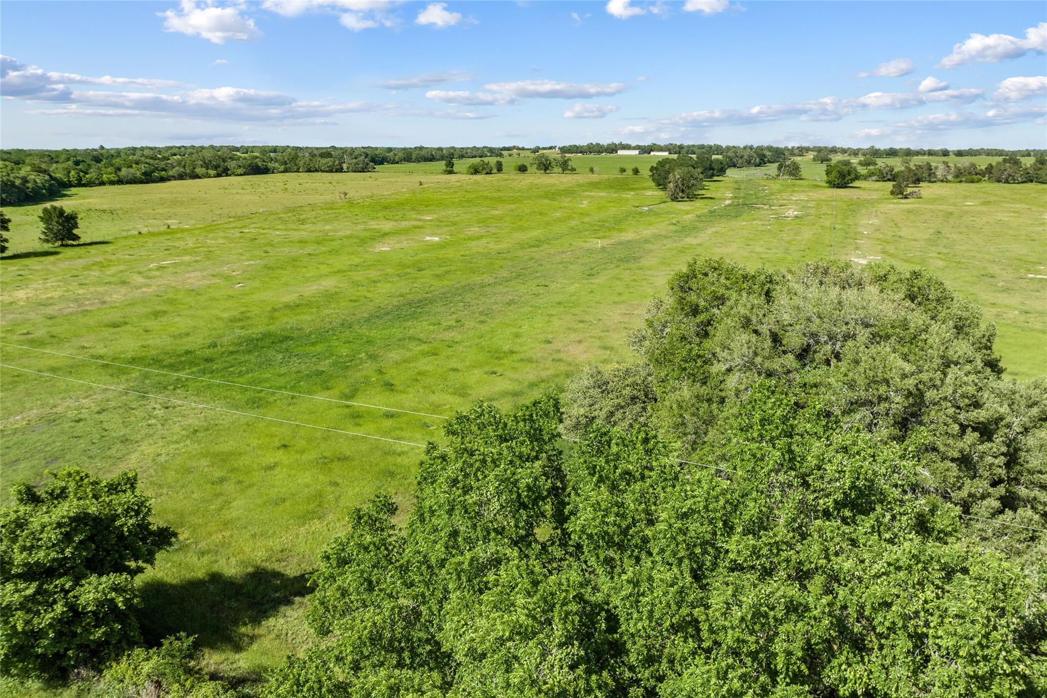TBD (Tract 1) FM 2239