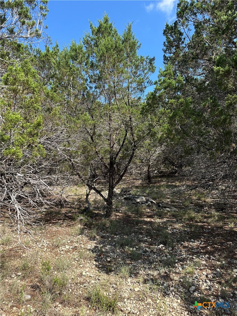 121 Agarita Drive