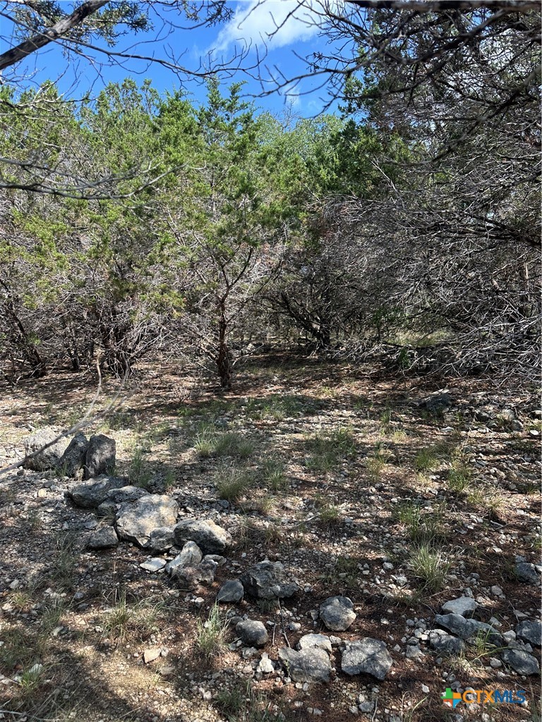 121 Agarita Drive