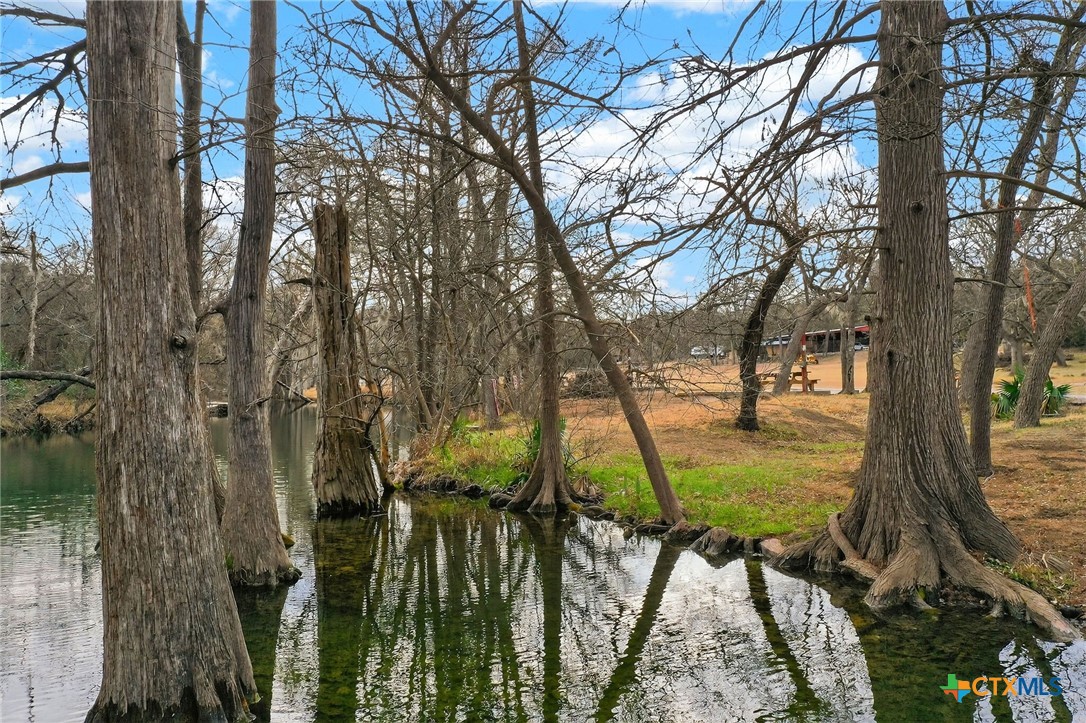 135 Agarita Drive