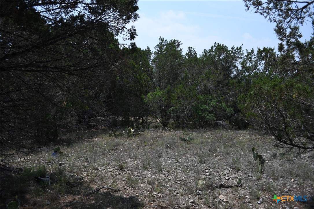 135 Agarita Drive