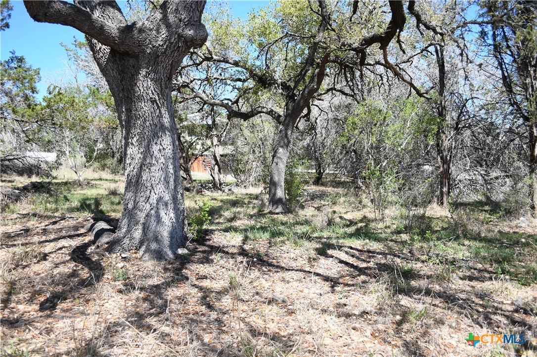 1361 Hidden Valley Drive