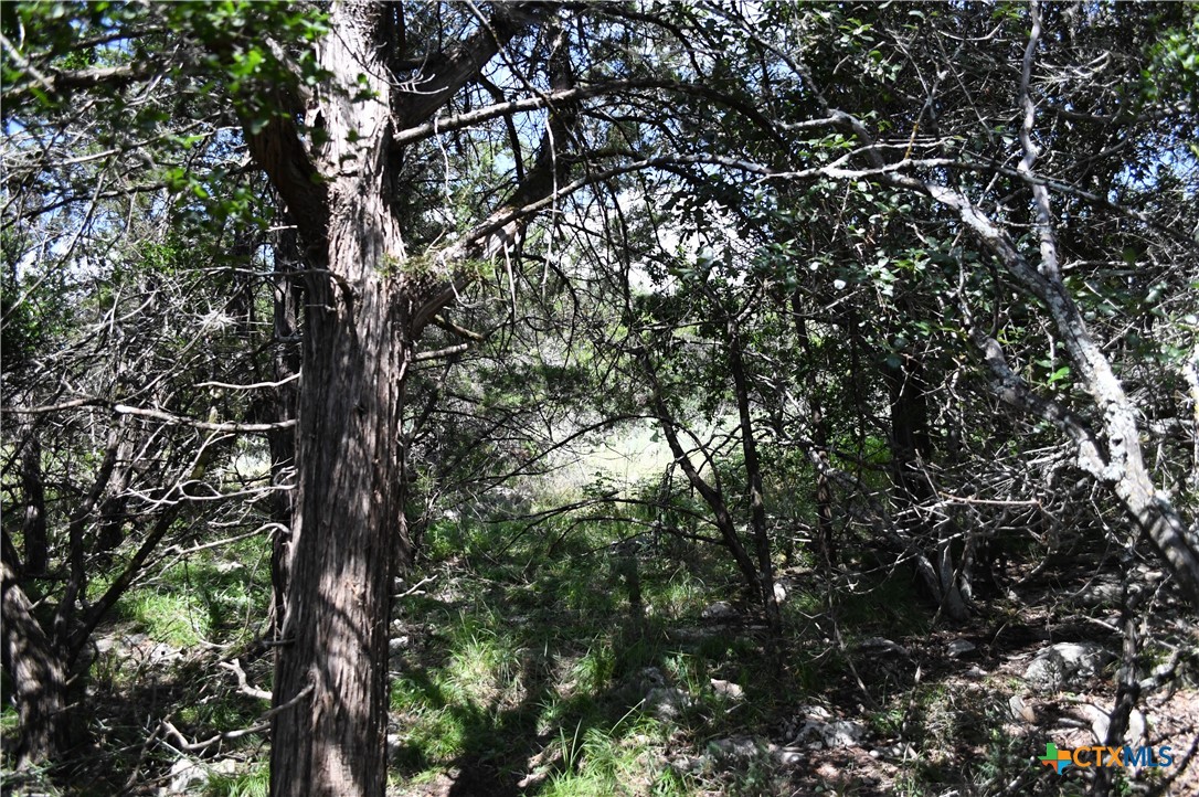1318 Hidden Valley Drive