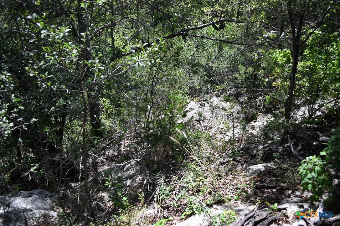 1318 Hidden Valley Drive