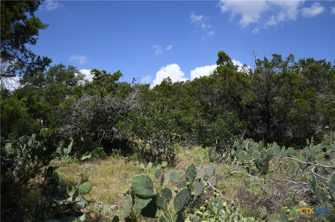 1318 Hidden Valley Drive