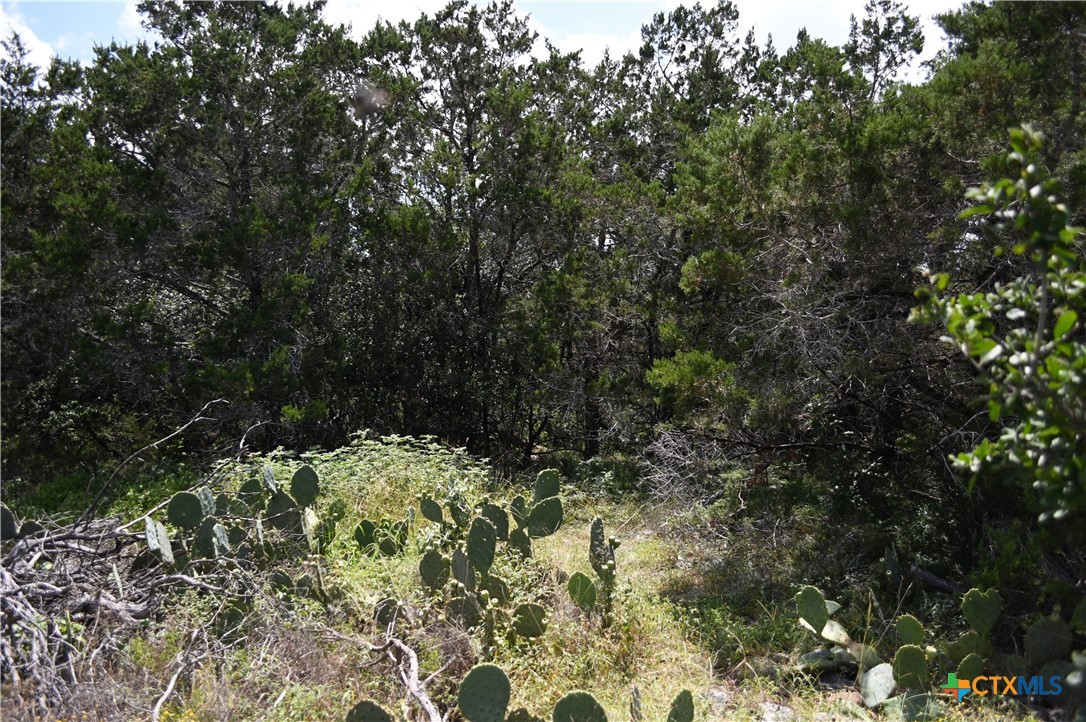 1318 Hidden Valley Drive