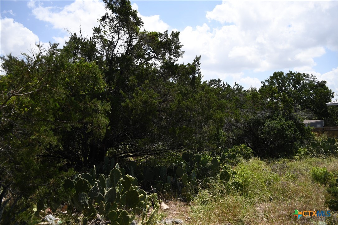 1318 Hidden Valley Drive