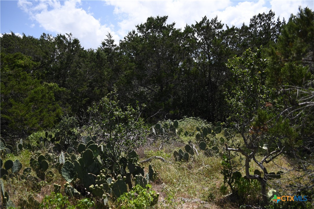 1318 Hidden Valley Drive