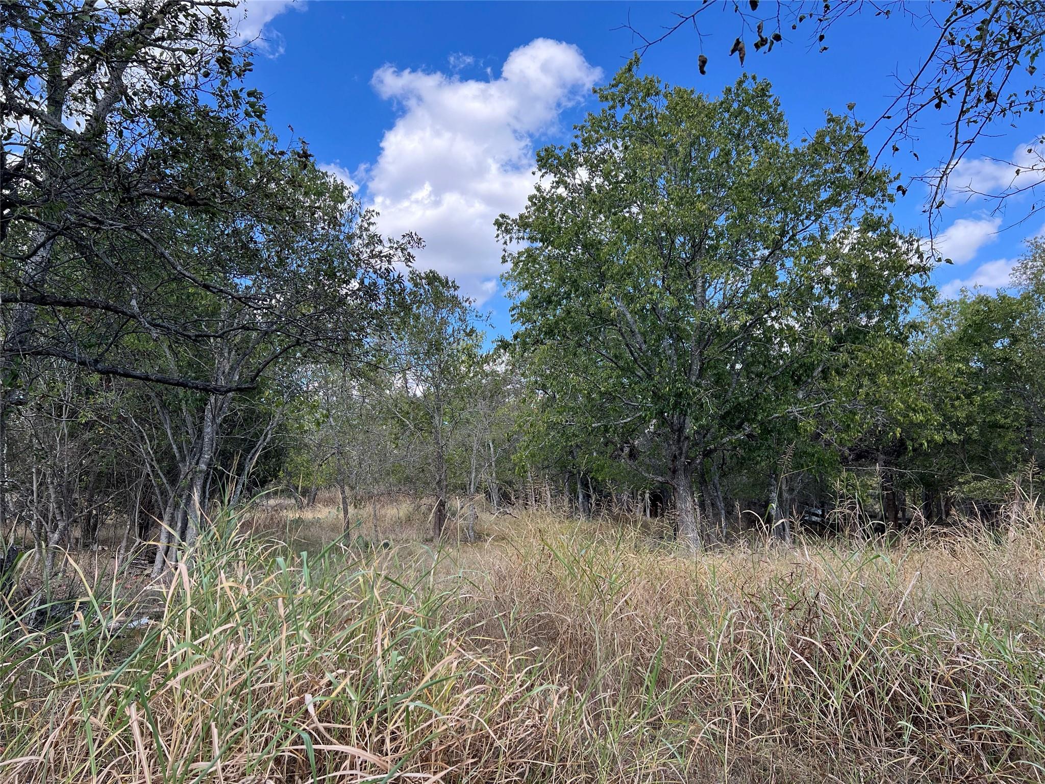 TBD County Road 202, Liberty Hill