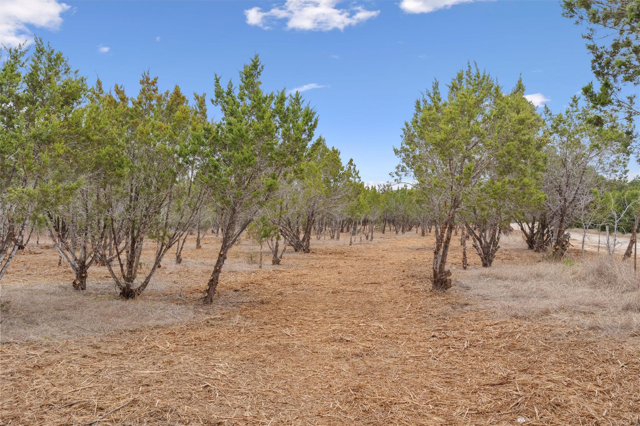 TBD County Road 202, Liberty Hill