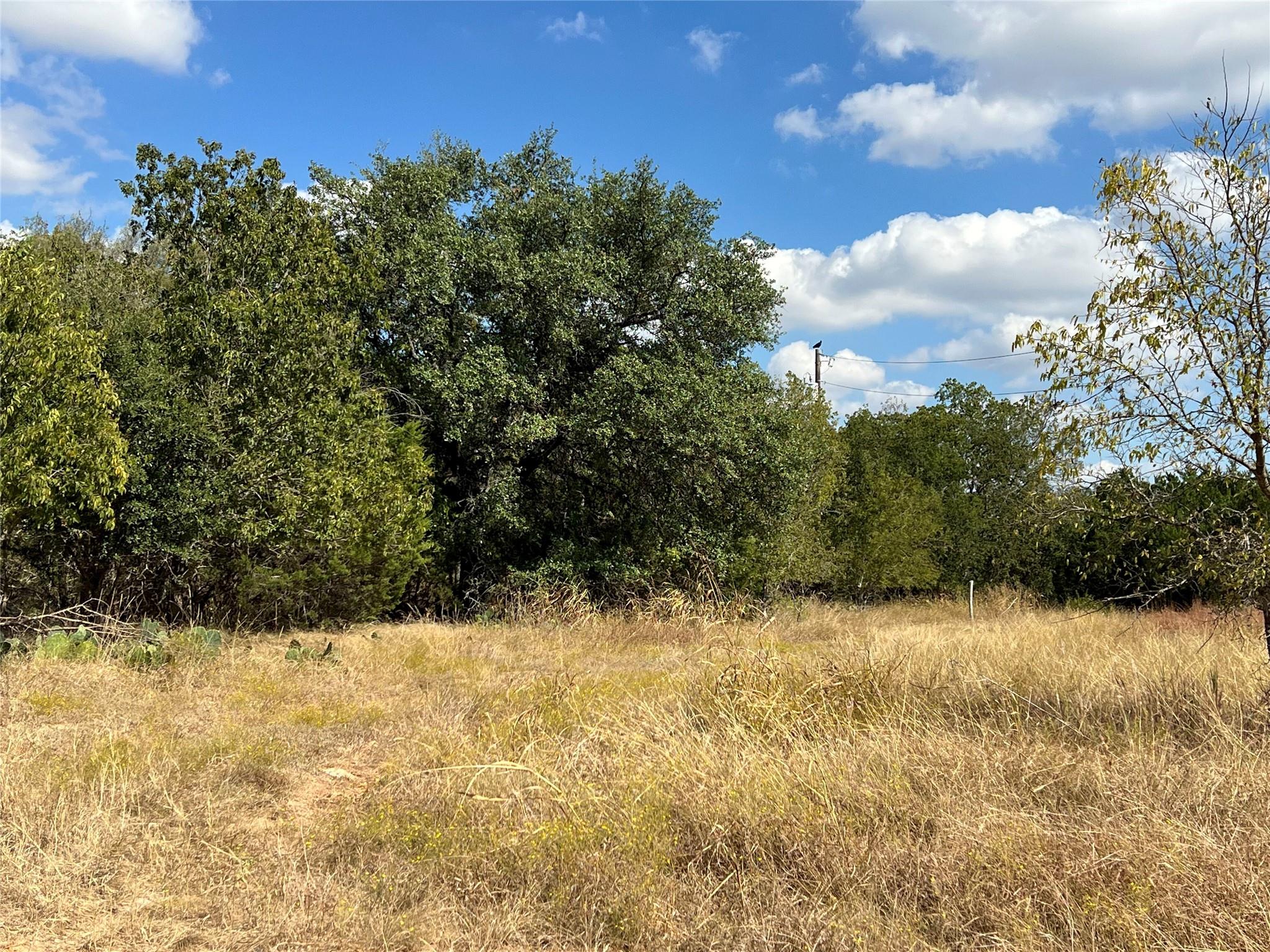 TBD County Road 202, Liberty Hill
