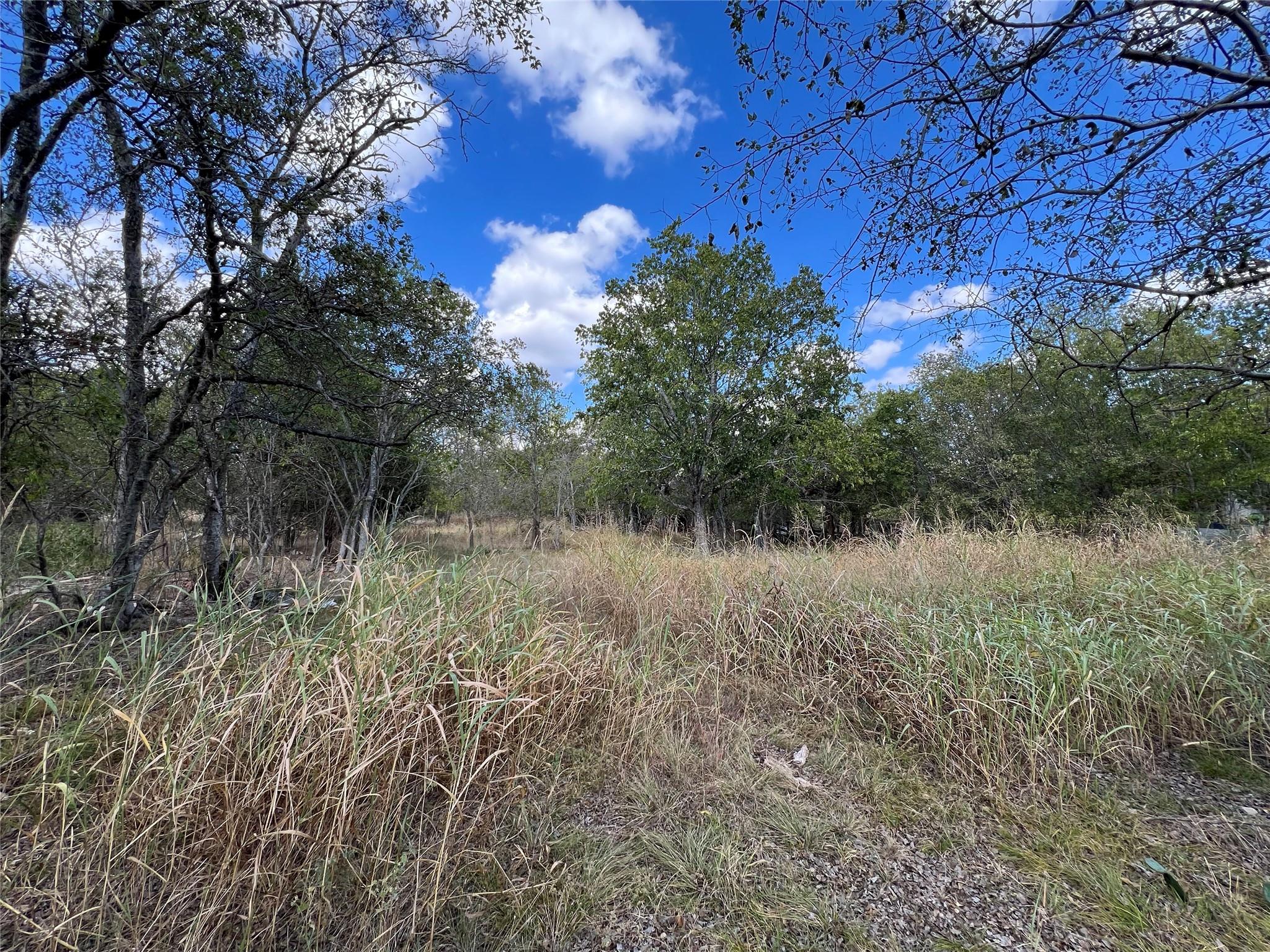 TBD County Road 202, Liberty Hill