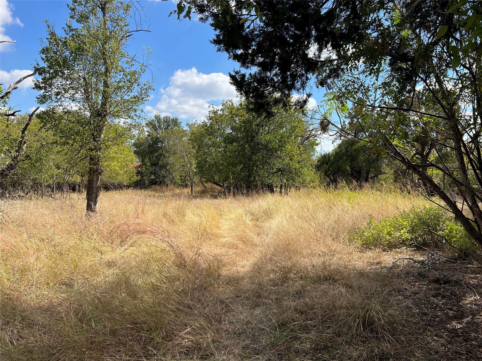 TBD County Road 202, Liberty Hill